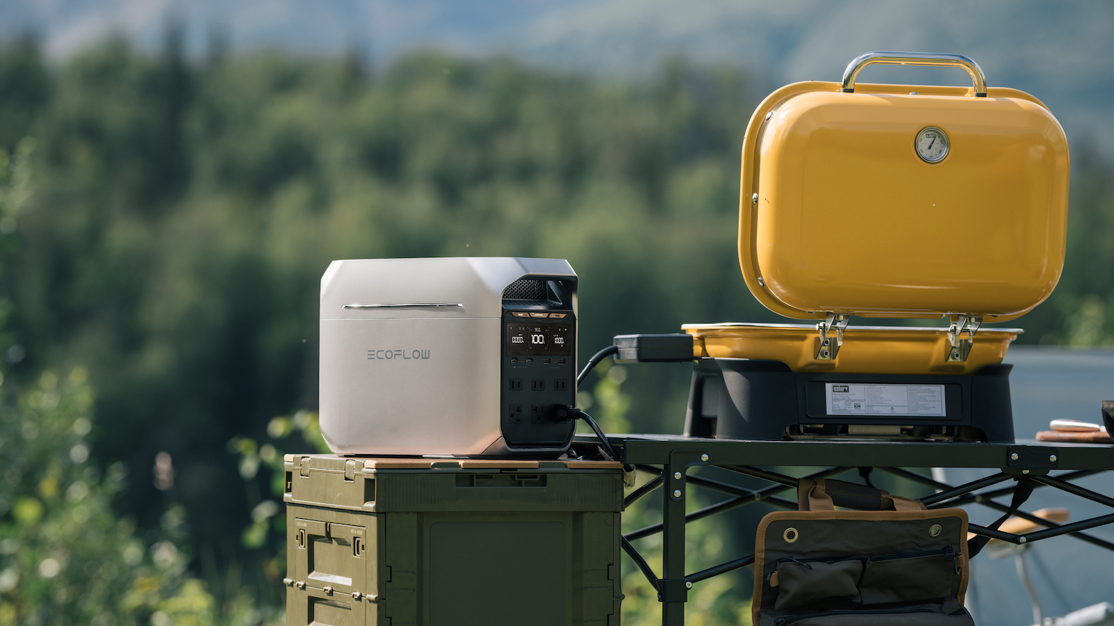 EcoFlow DELTA 3 Plus Review: I Ran It on My Chest Freezer for 6 Months (Here's the Real Story)